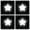 Website Maintained by Four Star Designs